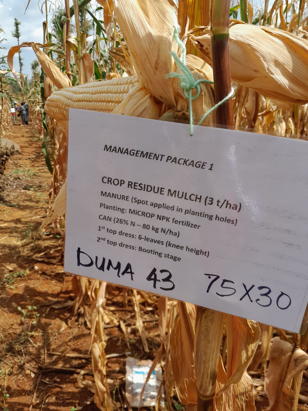 Water Stress Management in Mbeere, Embu County (1)