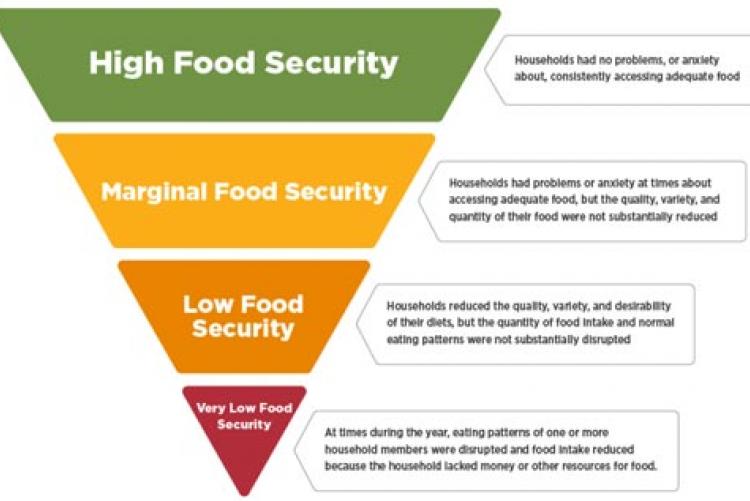A graph on food insecurity