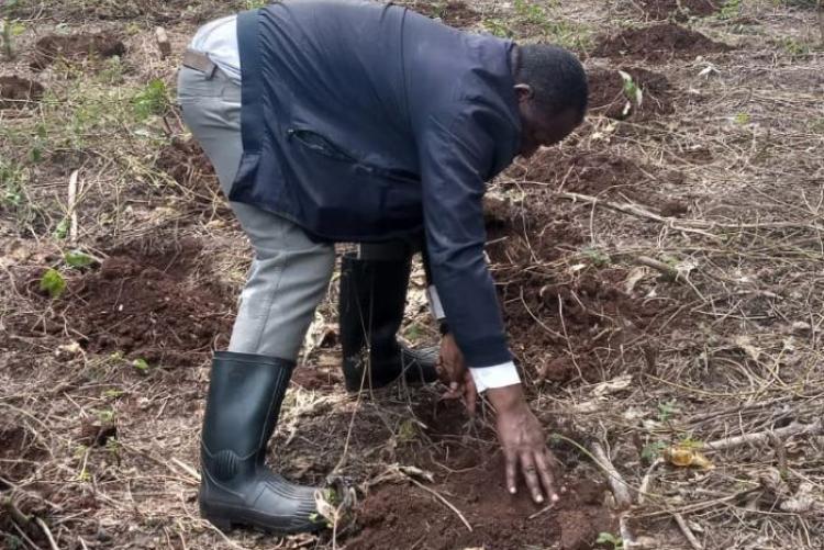 Prof. Richard Onwon'ga (Chairman, LARMAT) Planting a Tree