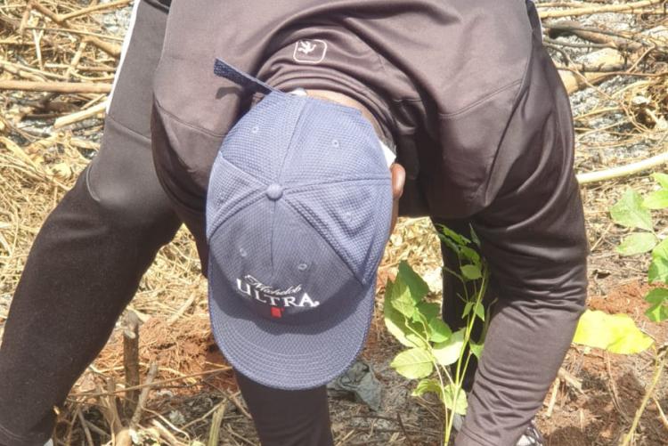 Prof. Nzuma in action planting a tree