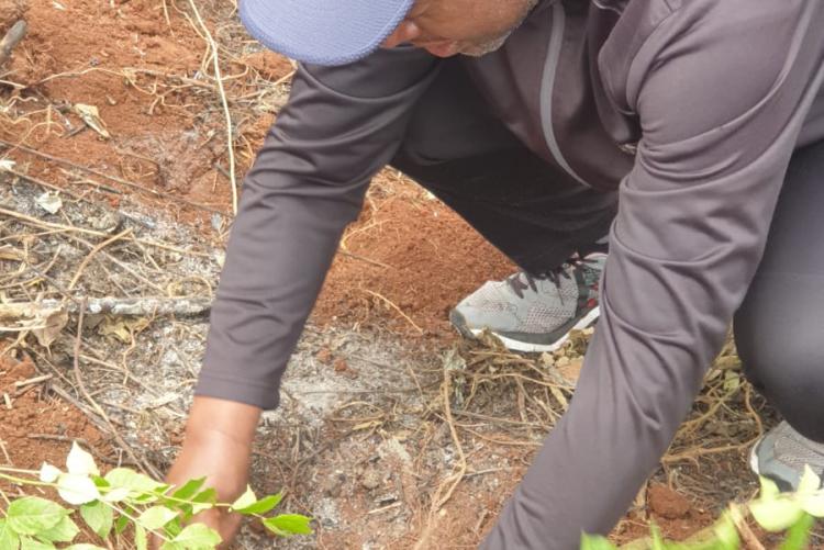 Prof. Nzuma in action planting a tree (3)