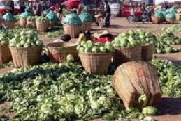 How improper food harvest leads to wastage